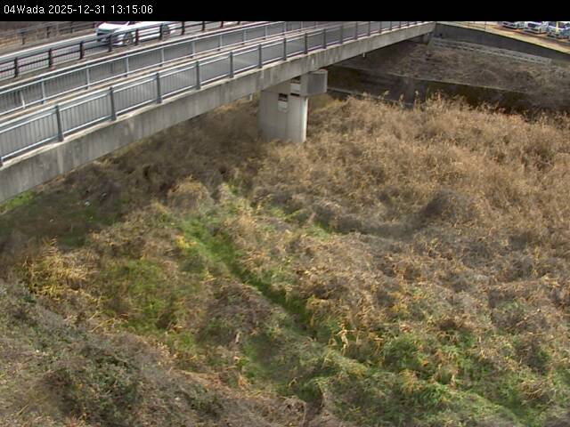 最新監視カメラ画像