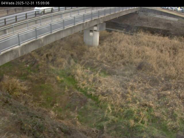 最新監視カメラ画像