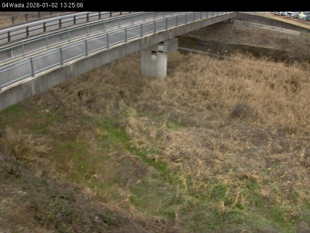 最新監視カメラ画像