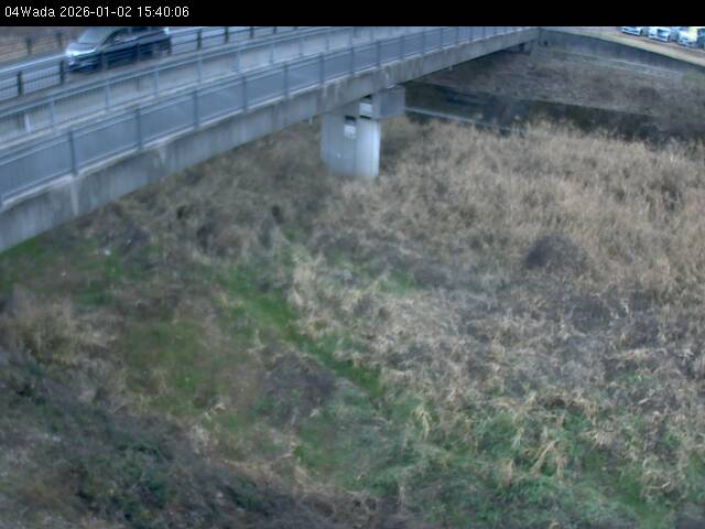 最新監視カメラ画像