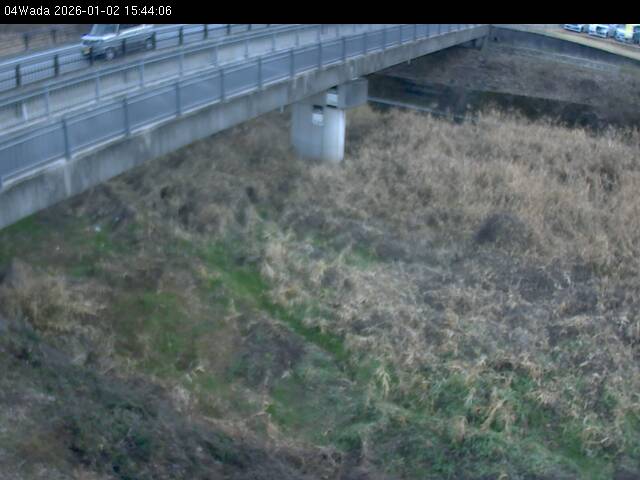 最新監視カメラ画像