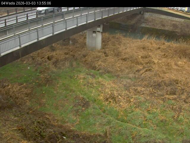 最新監視カメラ画像