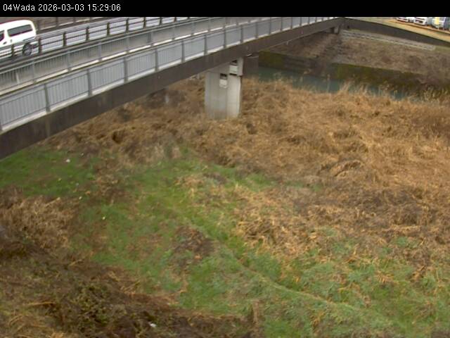 最新監視カメラ画像