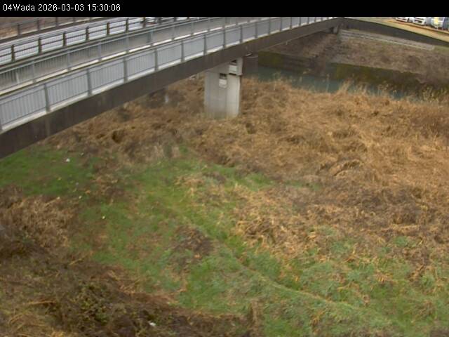 最新監視カメラ画像