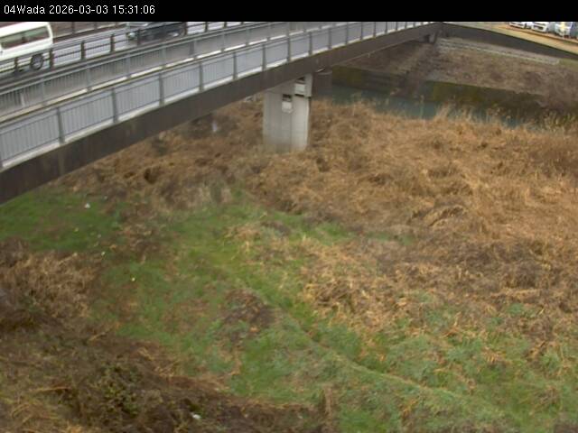 最新監視カメラ画像