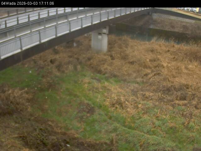 最新監視カメラ画像