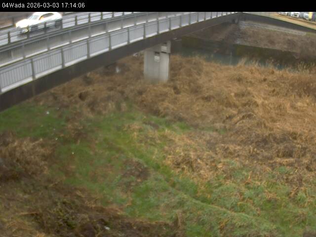 最新監視カメラ画像