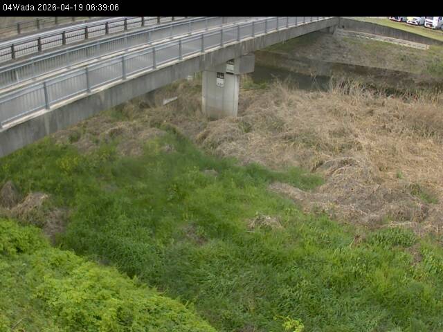 最新監視カメラ画像