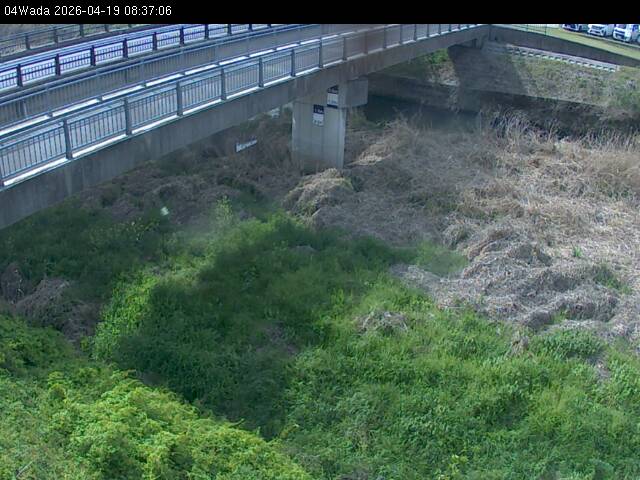 最新監視カメラ画像