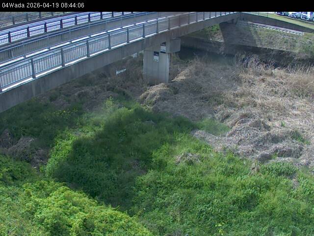 最新監視カメラ画像