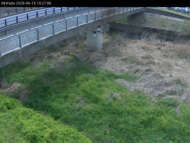 最新監視カメラ画像