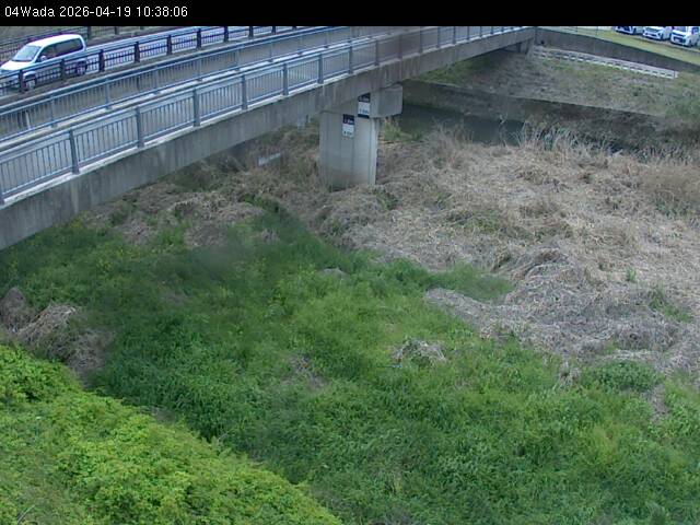 最新監視カメラ画像