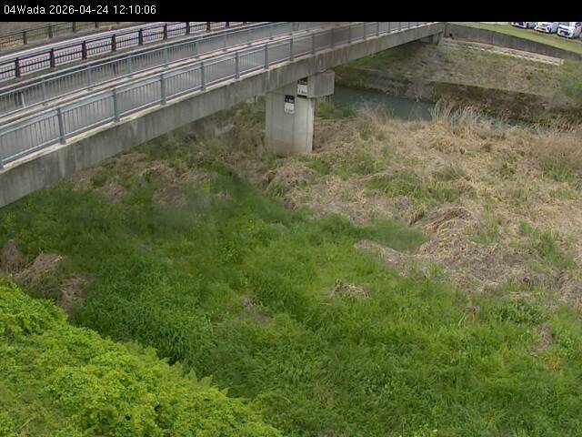 最新監視カメラ画像