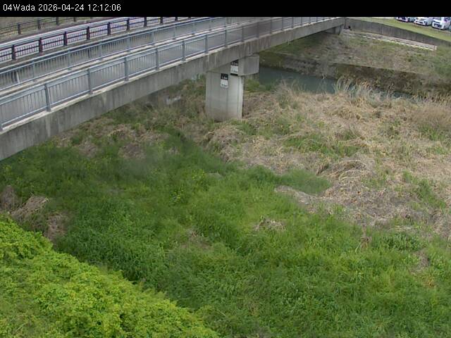 最新監視カメラ画像