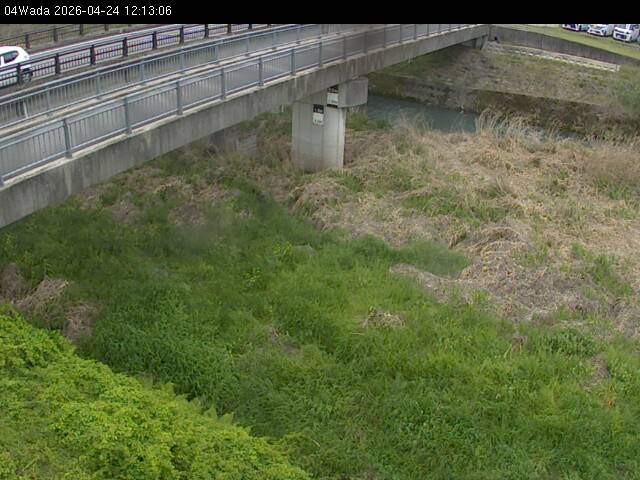 最新監視カメラ画像