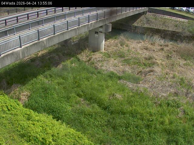 最新監視カメラ画像