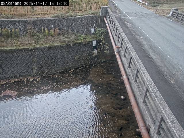 最新監視カメラ画像