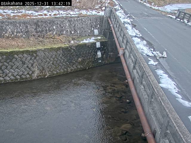 最新監視カメラ画像