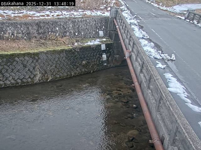 最新監視カメラ画像