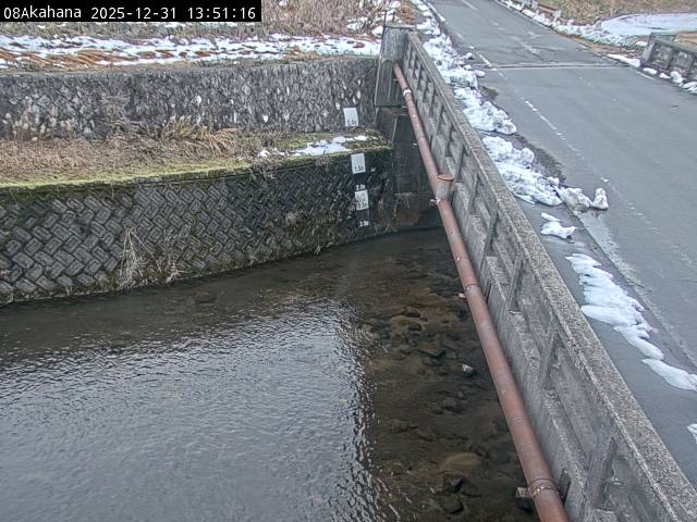 最新監視カメラ画像