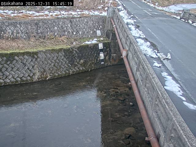 最新監視カメラ画像