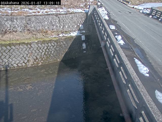 最新監視カメラ画像