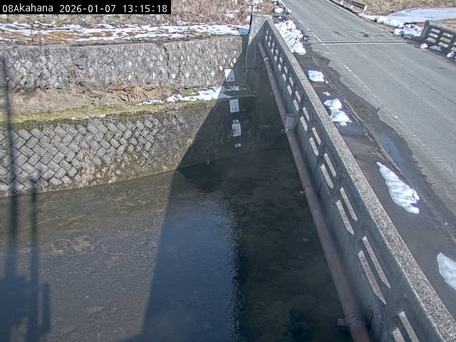 最新監視カメラ画像