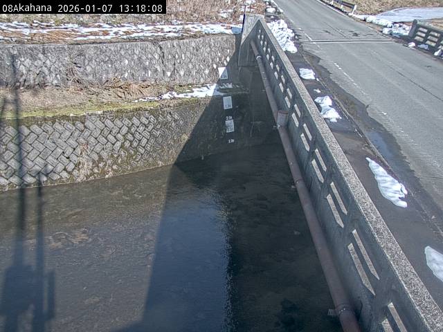 最新監視カメラ画像