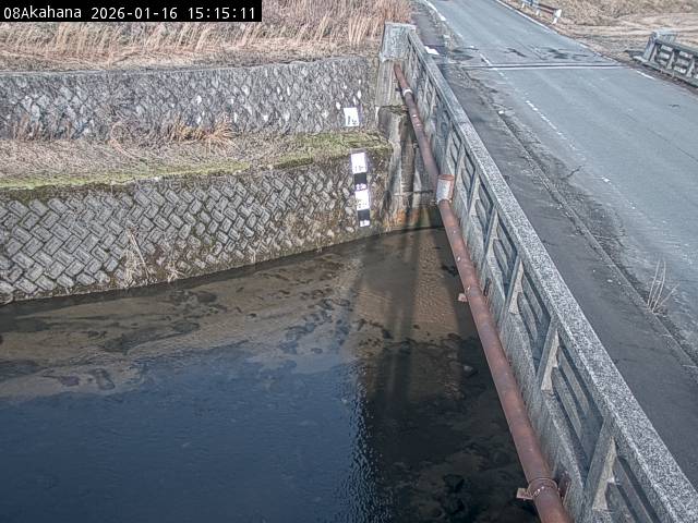 最新監視カメラ画像