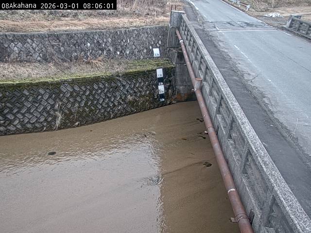 最新監視カメラ画像