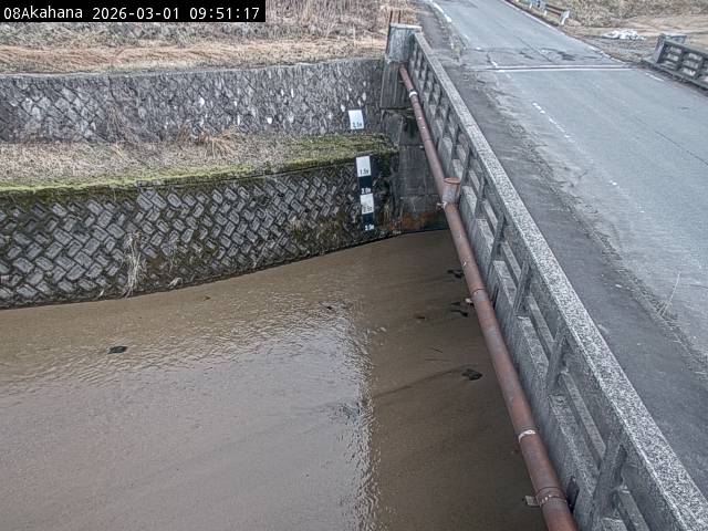 最新監視カメラ画像