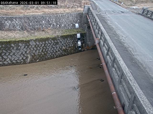 最新監視カメラ画像