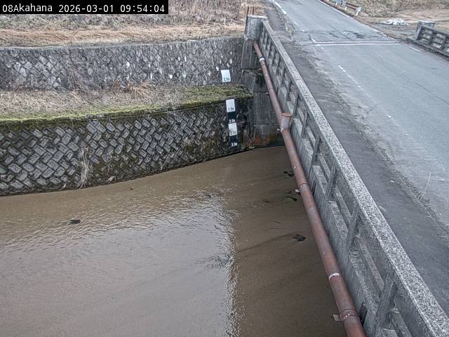 最新監視カメラ画像