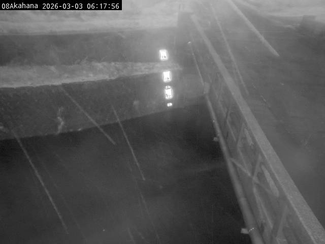 最新監視カメラ画像