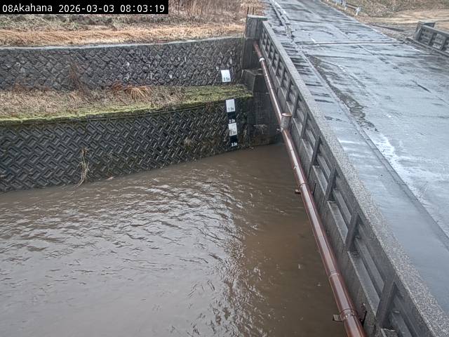 最新監視カメラ画像