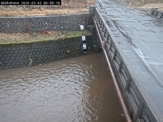 最新監視カメラ画像