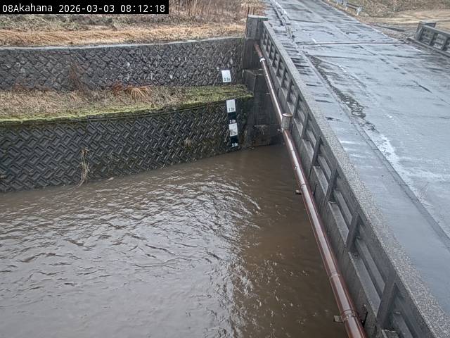 最新監視カメラ画像