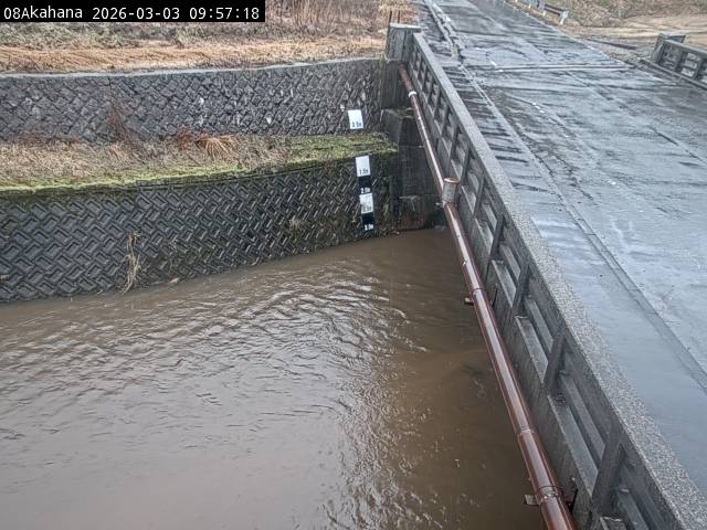 最新監視カメラ画像