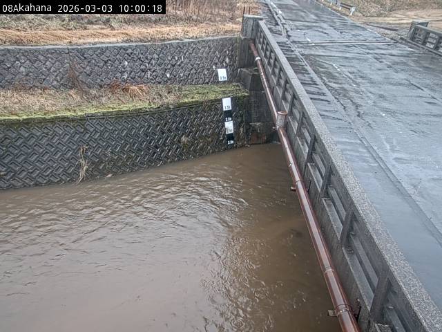 最新監視カメラ画像