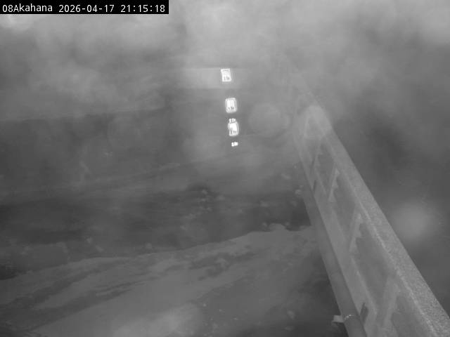 最新監視カメラ画像