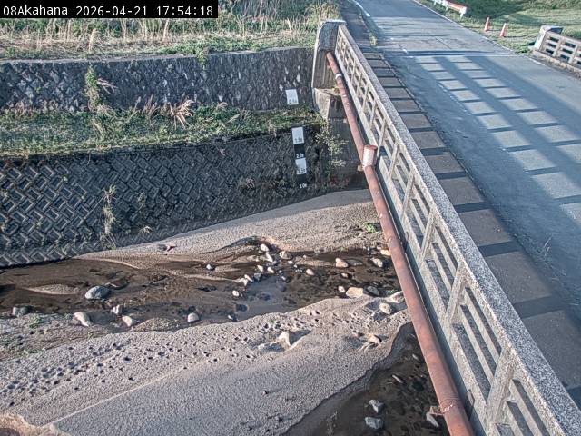 最新監視カメラ画像