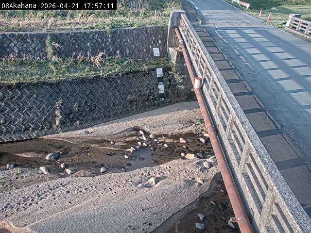 最新監視カメラ画像