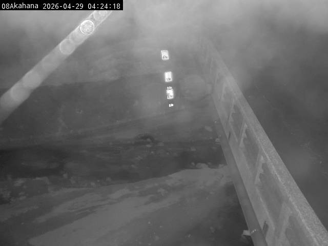 最新監視カメラ画像