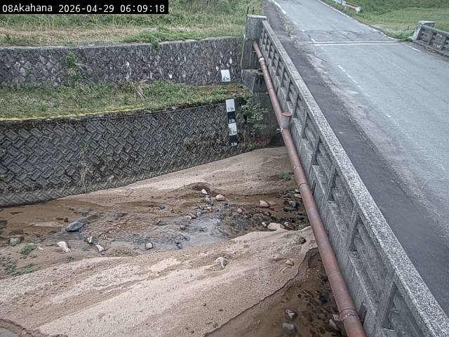 最新監視カメラ画像