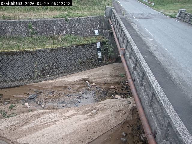 最新監視カメラ画像