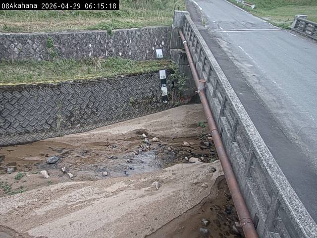 最新監視カメラ画像