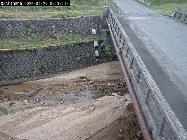 最新監視カメラ画像