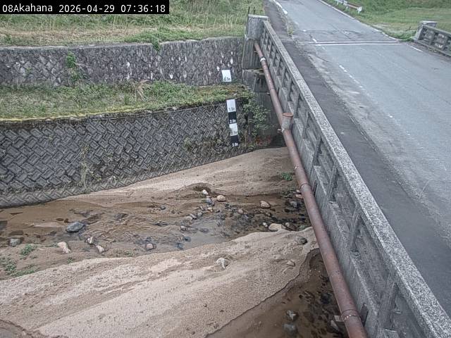 最新監視カメラ画像