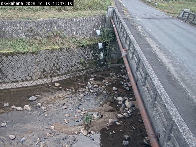 最新監視カメラ画像
