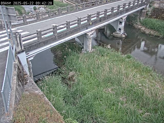 最新監視カメラ画像